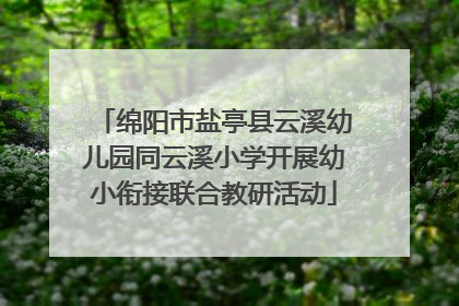 绵阳市盐亭县云溪幼儿园同云溪小学开展幼小衔接联合教研活动