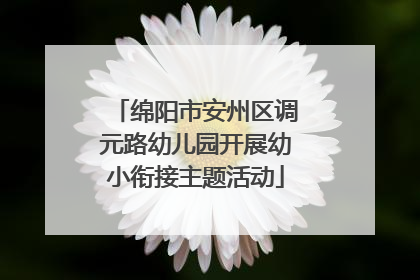 绵阳市安州区调元路幼儿园开展幼小衔接主题活动