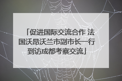 促进国际交流合作 法国沃昂沃兰市副市长一行到访成都考察交流