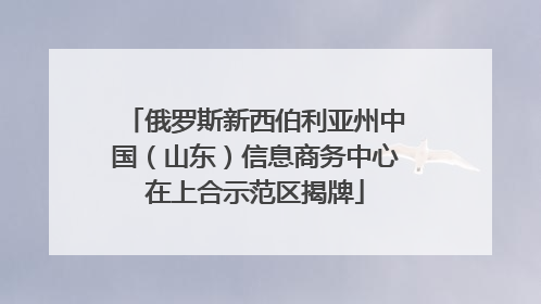 俄罗斯新西伯利亚州中国（山东）信息商务中心在上合示范区揭牌