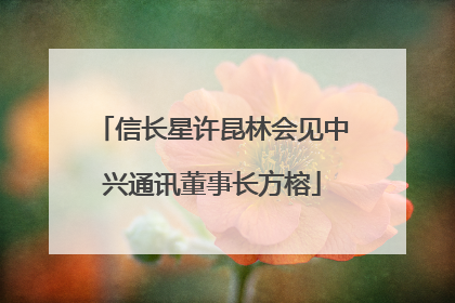 信长星许昆林会见中兴通讯董事长方榕