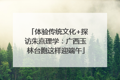 体验传统文化+探访朱熹理学：广西玉林台胞这样迎端午