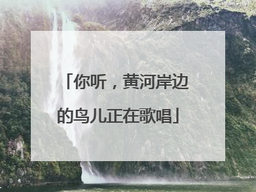你听，黄河岸边的鸟儿正在歌唱