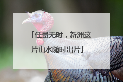 佳景无时，新洲这片山水随时出片