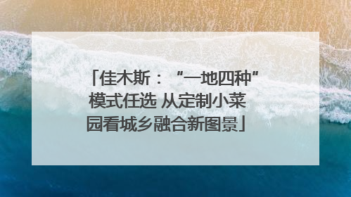 佳木斯：“一地四种” 模式任选 从定制小菜园看城乡融合新图景
