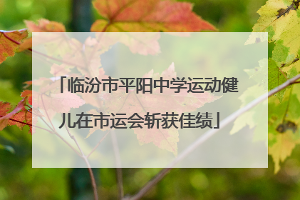临汾市平阳中学运动健儿在市运会斩获佳绩