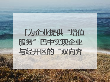 为企业提供“增值服务”巴中实现企业与经开区的“双向奔赴”｜川陕渝网络名人巴中行