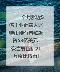 一个月涨近5倍！亚洲最大比特币持有者欲融资53亿美元 豪言要囤积21万枚比特币
