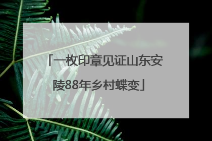 一枚印章见证山东安陵88年乡村蝶变
