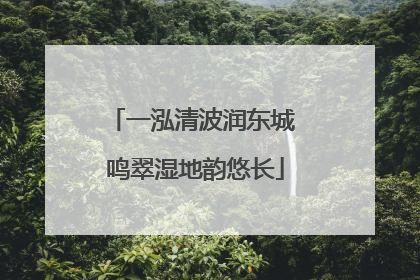 一泓清波润东城 鸣翠湿地韵悠长