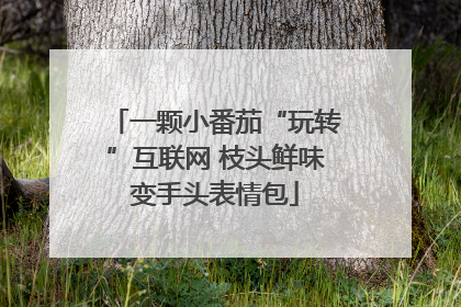 一颗小番茄“玩转”互联网 枝头鲜味变手头表情包