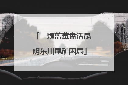 一颗蓝莓盘活昆明东川尾矿困局