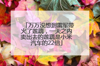 万万没想到雷军带火了莲藕，一天之内卖出去的莲藕是小米汽车的22倍