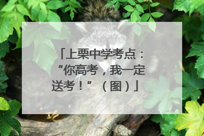 上栗中学考点：“你高考，我一定送考！”（图）
