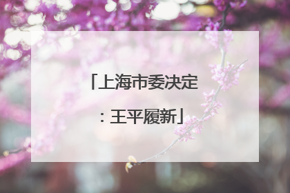 上海市委决定：王平履新