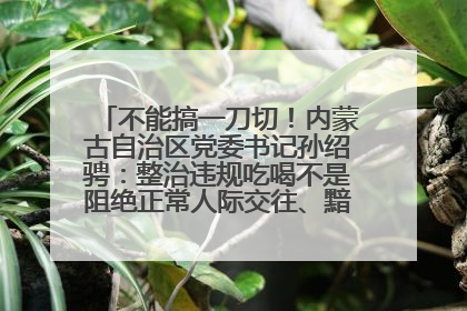 不能搞一刀切！内蒙古自治区党委书记孙绍骋：整治违规吃喝不是阻绝正常人际交往、黯淡人间烟火