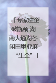 专家驻企破瓶颈 湖南大通湖冬闲田里亚麻“生金”