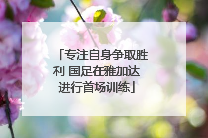 专注自身争取胜利 国足在雅加达进行首场训练