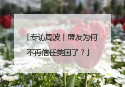 专访周波丨盟友为何不再信任美国了？