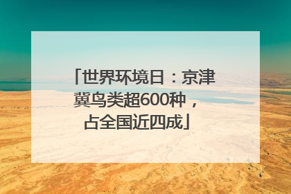 世界环境日：京津冀鸟类超600种，占全国近四成