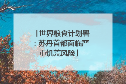 世界粮食计划署：苏丹首都面临严重饥荒风险