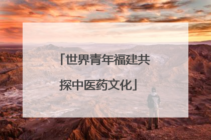 世界青年福建共探中医药文化