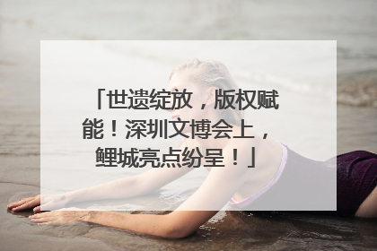 世遗绽放，版权赋能！深圳文博会上，鲤城亮点纷呈！