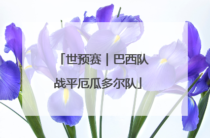 世预赛｜巴西队战平厄瓜多尔队