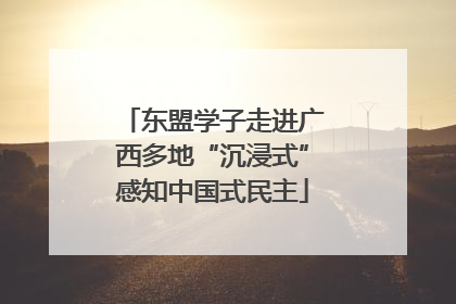 东盟学子走进广西多地“沉浸式”感知中国式民主
