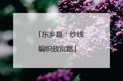 东乡县：纱线编织致富路