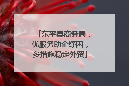 东平县商务局：优服务助企纾困，多措施稳定外贸