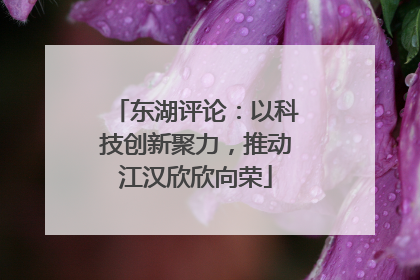 东湖评论：以科技创新聚力，推动江汉欣欣向荣