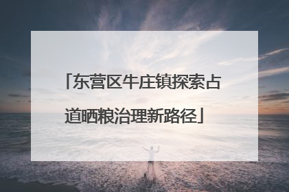 东营区牛庄镇探索占道晒粮治理新路径
