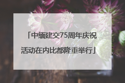 中缅建交75周年庆祝活动在内比都隆重举行