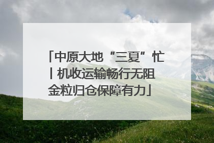 中原大地“三夏”忙丨机收运输畅行无阻 金粒归仓保障有力