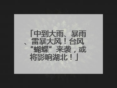中到大雨、暴雨、雷暴大风！台风“蝴蝶”来袭，或将影响湖北！