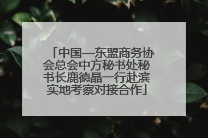 中国—东盟商务协会总会中方秘书处秘书长鹿德晶一行赴滨实地考察对接合作