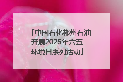 中国石化郴州石油开展2025年六五环境日系列活动