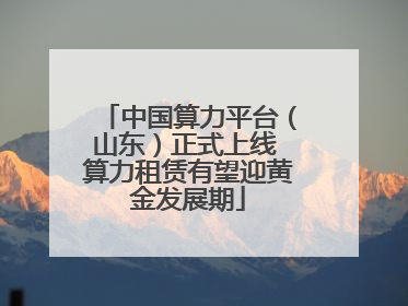 中国算力平台（山东）正式上线 算力租赁有望迎黄金发展期