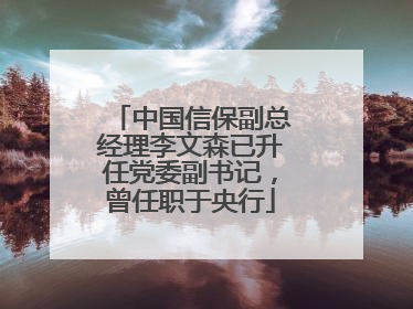 中国信保副总经理李文森已升任党委副书记，曾任职于央行