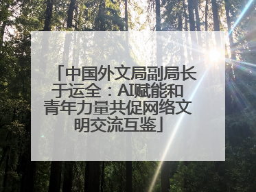 中国外文局副局长于运全：AI赋能和青年力量共促网络文明交流互鉴