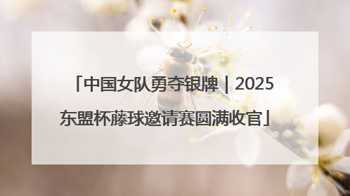 中国女队勇夺银牌｜2025东盟杯藤球邀请赛圆满收官