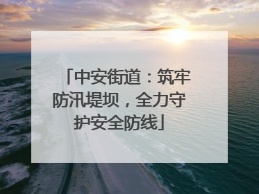 中安街道：筑牢防汛堤坝，全力守护安全防线