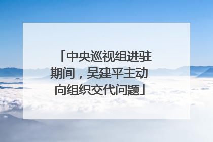 中央巡视组进驻期间，吴建平主动向组织交代问题