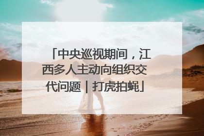 中央巡视期间，江西多人主动向组织交代问题｜打虎拍蝇