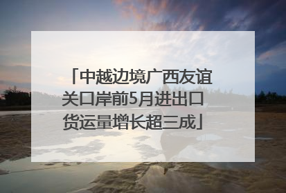 中越边境广西友谊关口岸前5月进出口货运量增长超三成