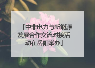 中非电力与新能源发展合作交流对接活动在岳阳举办
