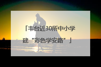 丰台近30所中小学建“彩色学安路”