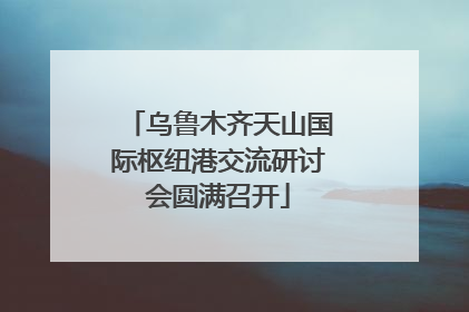 乌鲁木齐天山国际枢纽港交流研讨会圆满召开
