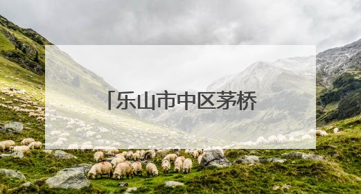 乐山市中区茅桥幼儿园开展课程故事交流分享活动
